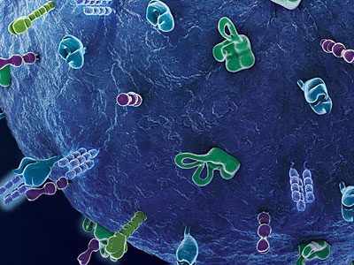 Genetech